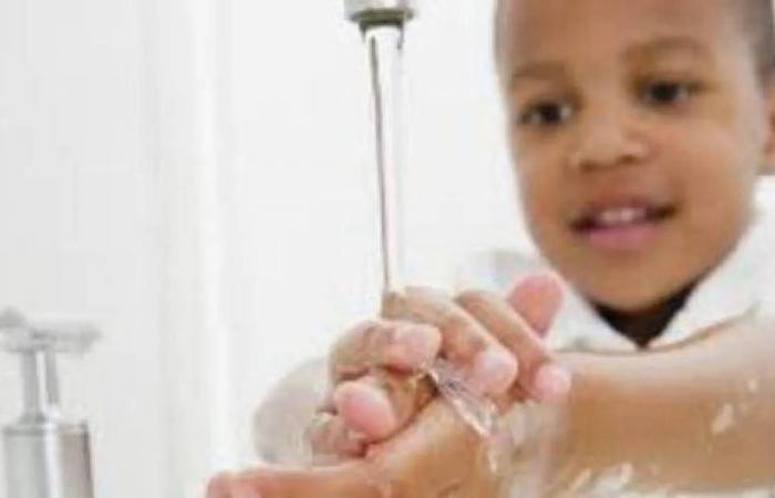 نوع
      من
      الصابون
      يزيد
      من
      مقاومة
      المضادات
      الحيوية