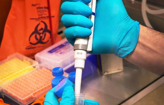 الصحافي
      أم
      الذكاء
      الاصطناعي:
      أيهما
      أفضل؟