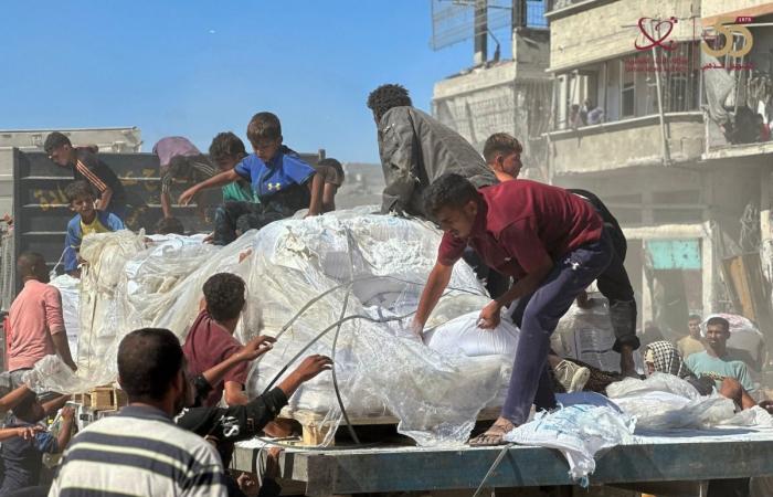 منظمة الصحة العالمية تعلن نقل أطنان من إمدادات التغذية الإنسانية الطارئة إلى غزة