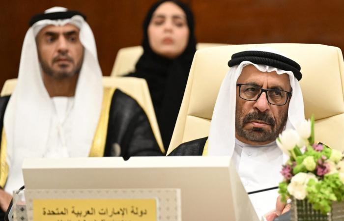 وزير إماراتي: الدولة ستطالب بحقها جراء الاعتداءات الإيرانية ومحاولة فرض رسوم على مضيق هرمز "قرصنة"