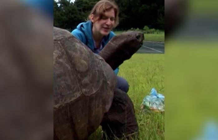 عمرها 194 عاماً.. كيف وقعت أقدم سلحفاة في العالم ضحية لعملية احتيال بالعملات الرقمية؟