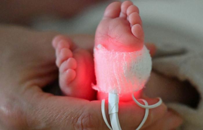 مادتان في البلاستيك ترتبطان بولادات مبكرة ووفاة آلاف المواليد