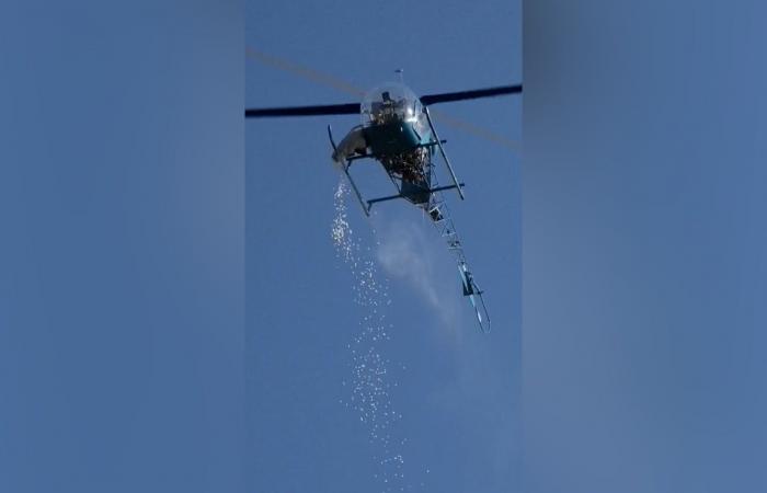 في "عيد الفصح".. مروحية تنثر حلوى المارشميلو فوق حشد من الأطفال بميشيغان