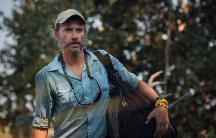 هل الفيل "الشبح" في أنغولا حقيقة أم أسطورة كما اعتُقد على مدى عقود؟