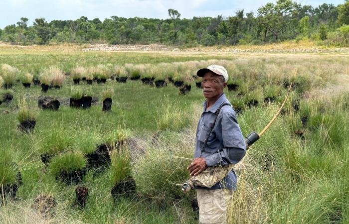 هل الفيل "الشبح" في أنغولا حقيقة أم أسطورة كما اعتُقد على مدى عقود؟