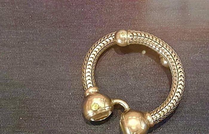 متحف
      المركبات
      الملكية
      بمصر
      يفتح
      «خزائن
      الهوانم»
      للجمهور