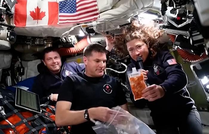 كيف يتحول الروبيان المجفف إلى وجبة لذيذة في الفضاء؟