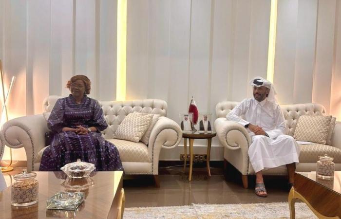 سفير قطر يشارك باجتماع وزيرة الشؤون الخارجية في كوت ديفوار مع سفراء دول مجلس التعاون