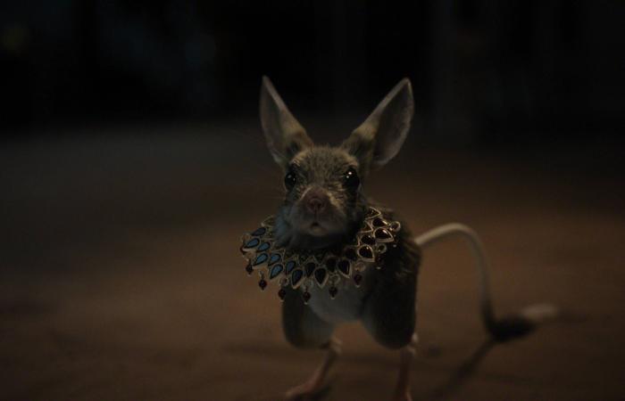 عمل
      سعودي
      جديد
      يبحث
      عن
      صيغة
      تجمع
      بين
      المتناقضات