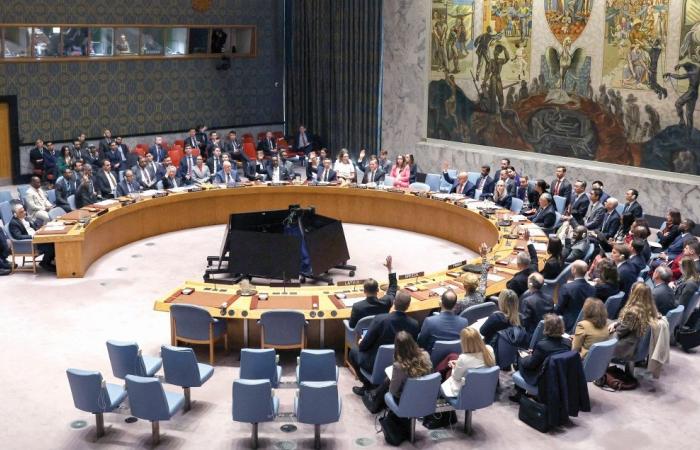 دول الخليج تأسف لـ «فيتو» روسيا والصين