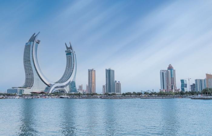 الاستثمارات الأجنبية محليا بوابة التنوع المستدام