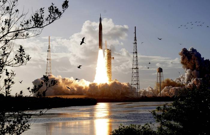 روابط
      جديدة
      بين
      الجينات…
      والأمراض
      والاستجابة
      للعلاج