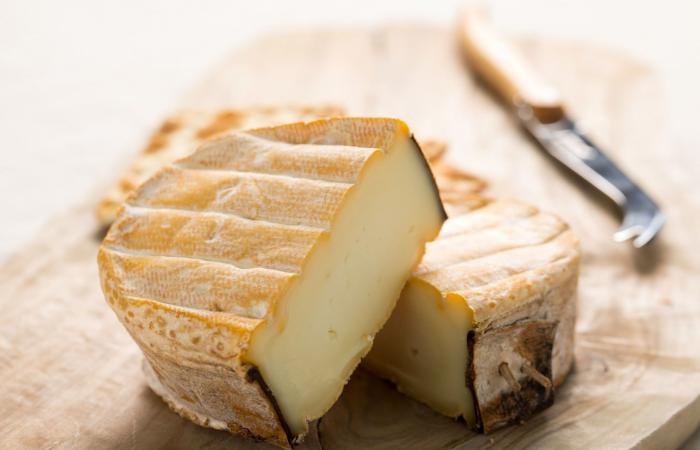 بكتيريا الإشريكية القولونية..ما علاقتها بالجبن غير المبستر؟