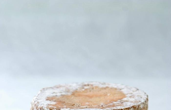 مهرجان
      «كونستانس»
      للطهي
      يعلن
      أسماء
      الفائزين
      في
      دورته
      الـ19