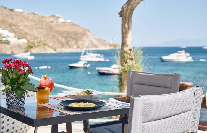 عندما
      تخسر
      السماء
      تربح
      الأرض...
      مصائب
      قوم
      عند
      قوم
      فوائد
      سياحية