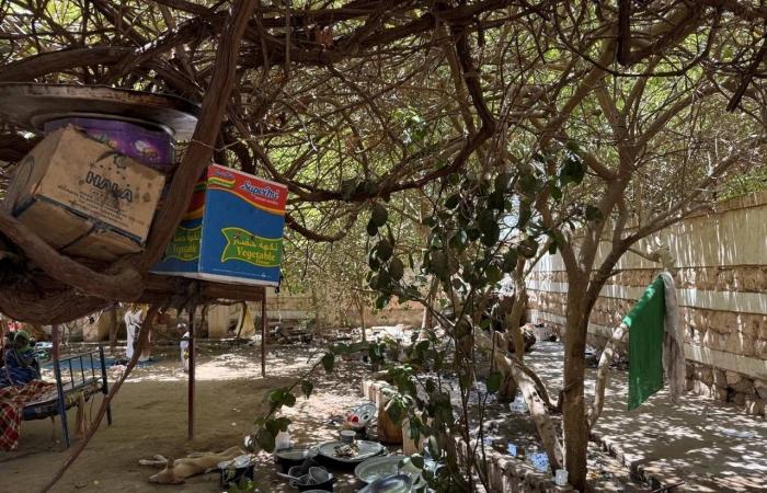 «فتيات
      بلا
      سند»...
      مشكلة
      فاقمتها
      الحرب
      في
      السودان