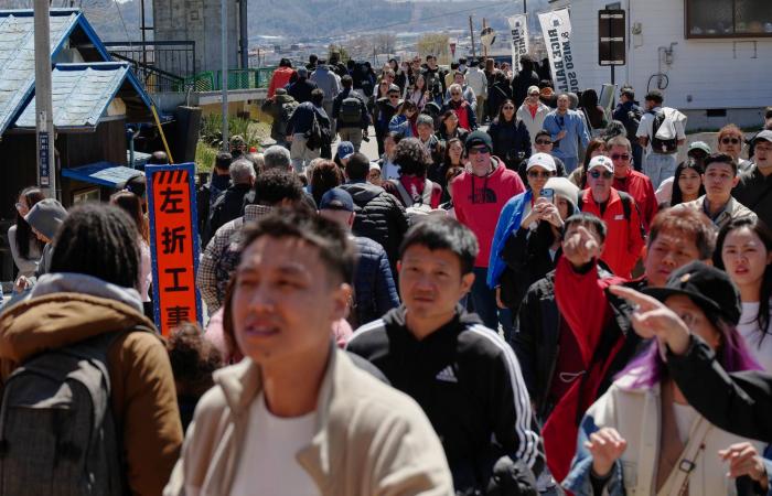 جمال
      يُكلّف
      اليابانيين
      كثيراً...
      أزهار
      الكرز
      تتحوَّل
      «كابوساً»