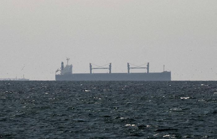 بوتين
      يعلن
      وقف
      النار
      في
      عيد
      القيامة
      ويتوقع
      المثل
      من
      أوكرانيا