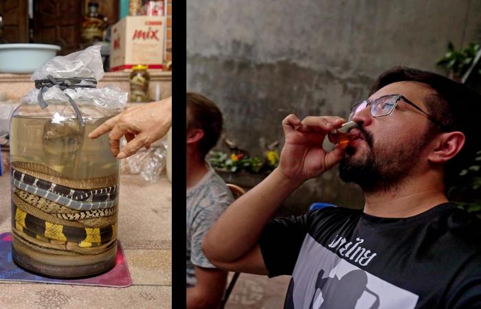 نبيذ الثعابين في فيتنام..تجربة مشروب تنام فيه الأفعى بسبات عميق