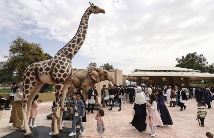 حديقة
      حيوان
      طرابلس
      تفتح
      أبوابها
      بعد
      إغلاق
      لـ17
      عاماً