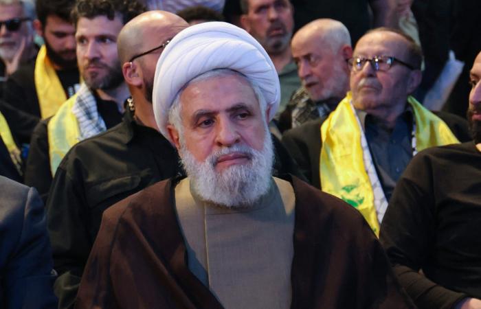 نعيم قاسم يتعهد بمواصلة القتال ضد إسرائيل "حتى آخر نفس"