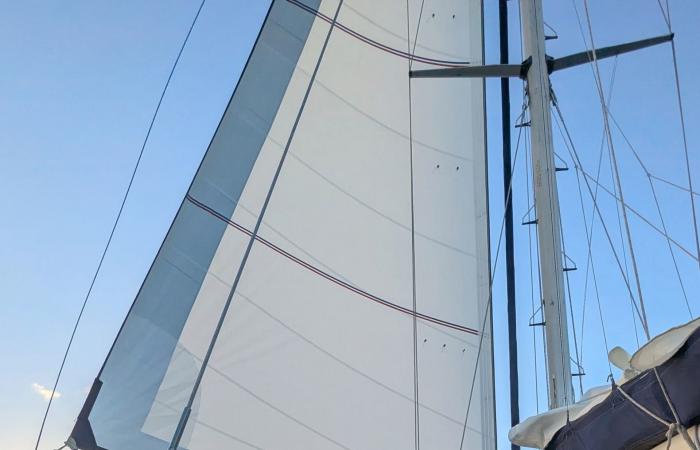 جمالٌ وشاحنات دواجن..رحلةِ مغامر مصري حولَ العالم دونَ طيران