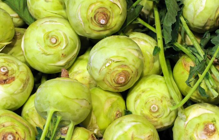 اللفت الألماني.. ما أبرز فوائده وقيمته الغذائية؟