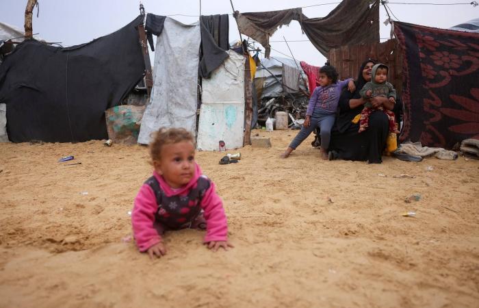 «محادثات
      القاهرة»...
      «حماس»
      تبحث
      عن
      «ضمانات»
      لسد
      فجوات
      «أزمة
      السلاح»