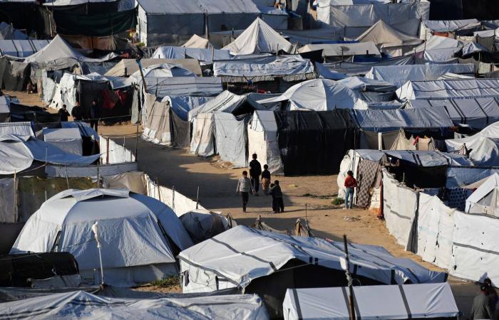 الاستهدافات
      الإسرائيلية
      تركز
      على
      «القوة
      المشتركة»
      في
      غزة