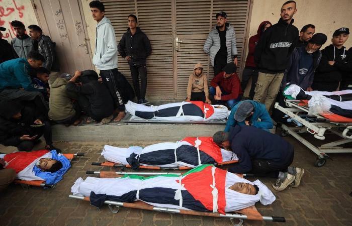 «محادثات
      القاهرة»...
      «حماس»
      تبحث
      عن
      «ضمانات»
      لسد
      فجوات
      «أزمة
      السلاح»