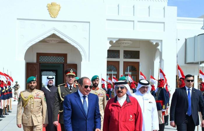 الخارجية
      المصرية
      لـ«الشرق
      الأوسط»:
      العلاقات
      مع
      الخليج
      «راسخة
      وصلبة»