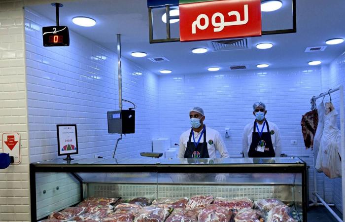 وزير
      الطاقة
      السعودي
      يبحث
      مع
      مسؤول
      كوري
      تعزيز
      استقرار
      الإمدادات