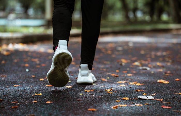 اكتشاف
      جديد
      قد
      يفسّر
      بعض
      حالات
      ارتفاع
      ضغط
      الدم