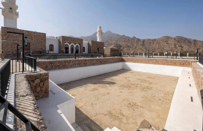 نماذج
      الذكاء
      الاصطناعي
      ترفض
      أوامر
      البشر