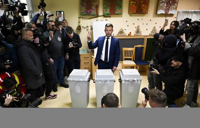 رئيس
      الوزراء
      المجري
      أوربان
      يقر
      بهزيمة
      «مؤلمة»
      في
      الانتخابات