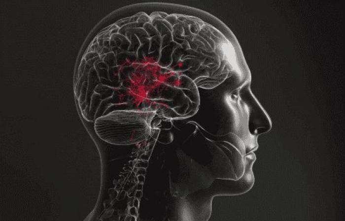 دراسة جديدة: منطقة دماغية قد تكون مسؤولة عن بعض حالات ارتفاع الضغط