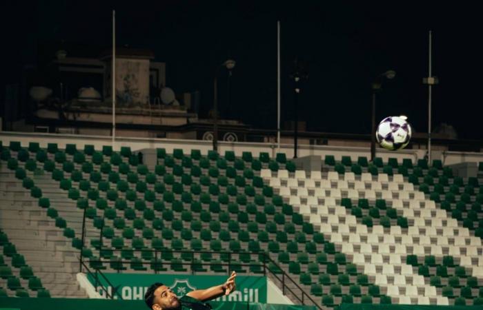 جماهير
      النصر
      في
      نجران...
      «وقفة
      استثنائية»
      بشهادة
      رونالدو
        