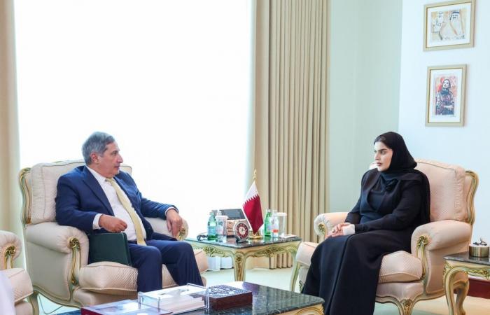 وزير الدولة للتعاون الدولي تجتمع مع السفير اللبناني