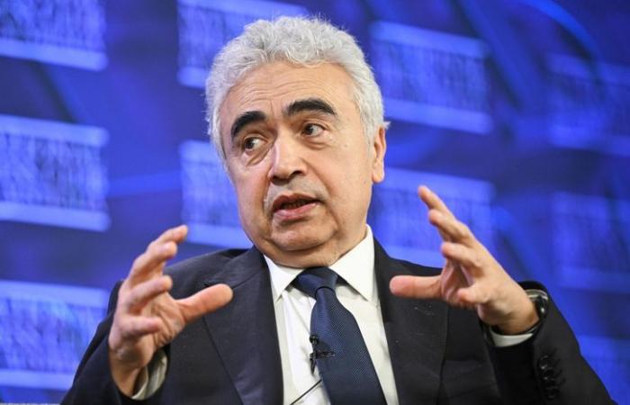 وكالة الطاقة الدولية تعرب عن استعدادها لسحب المزيد من احتياطيات النفط