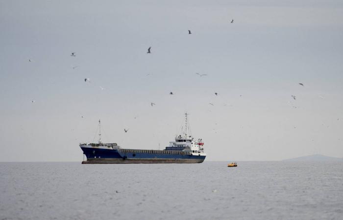 ما
      هي
      مخاطر
      خطة
      ترمب
      لحصار
      مضيق
      هرمز؟