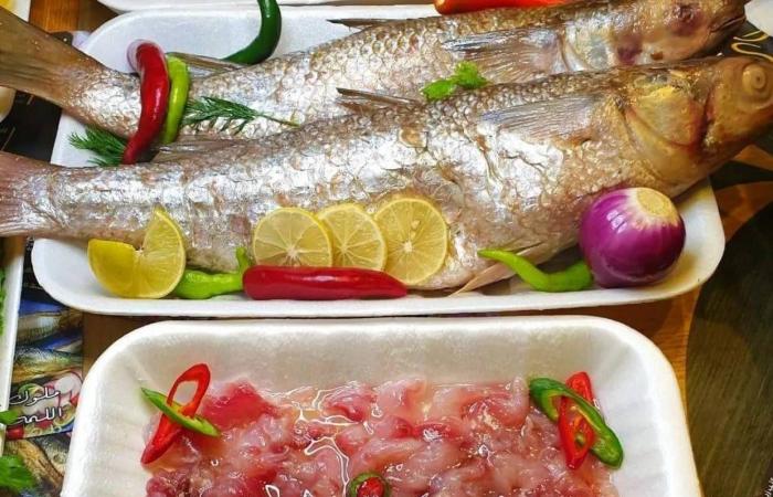 هل
      عاد
      بانكسي؟
      غرافيتي
      «كابيبارا
      هاربة»
      يثير
      الغموض