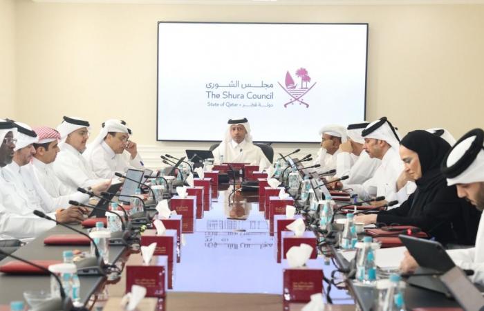 لجنة الشؤون الداخلية والخارجية بالشورى تناقش "قانون المرور"