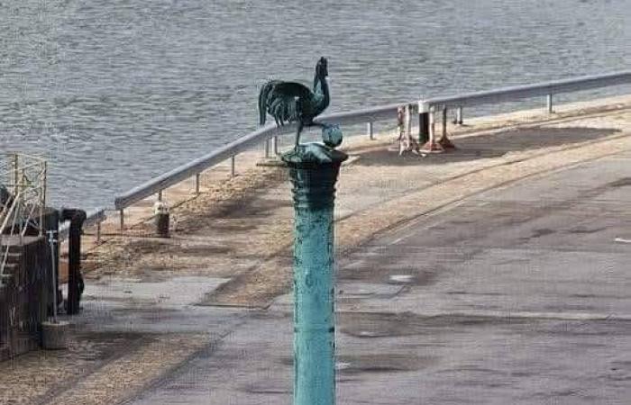 «قانون
      استرجاع
      الممتلكات
      الثقافية»
      الفرنسي
      يعمق
      «أزمة
      الذاكرة»
      مع
      الجزائر