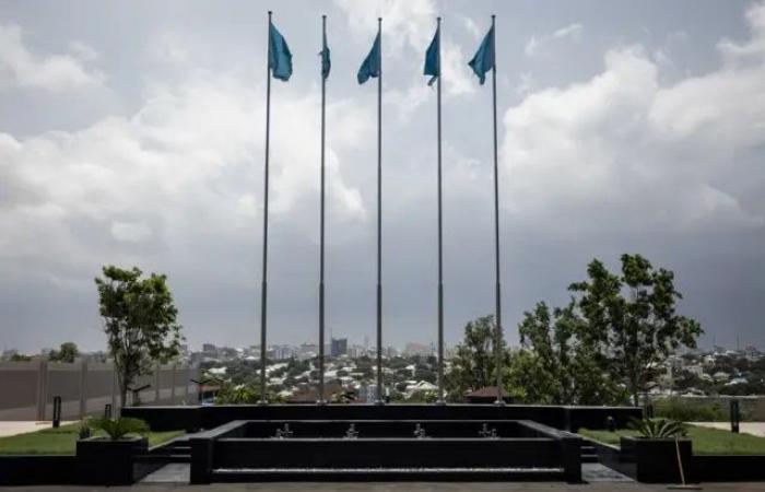 دول عربية وإسلامية تدين إعلان إسرائيل تعيين مبعوث دبلوماسي لدى ما يسمى "أرض الصومال"