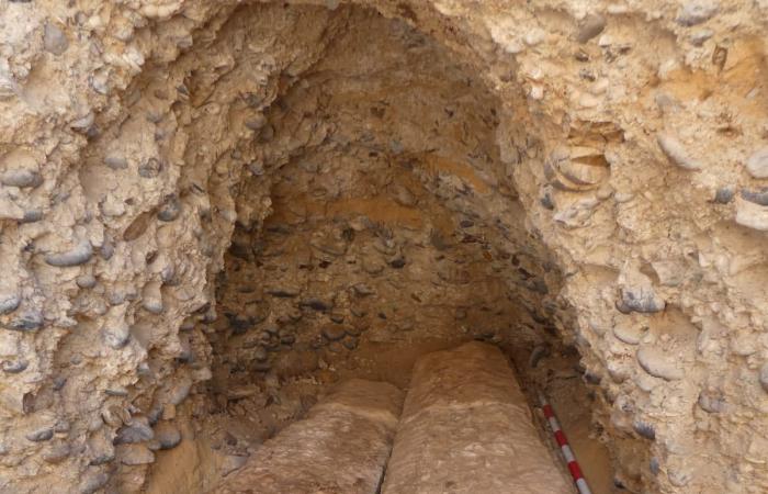 بينها ألسنة ذهبية وعددا من المومياوات.. اكتشاف مقبرة رومانية نادرة في مصر