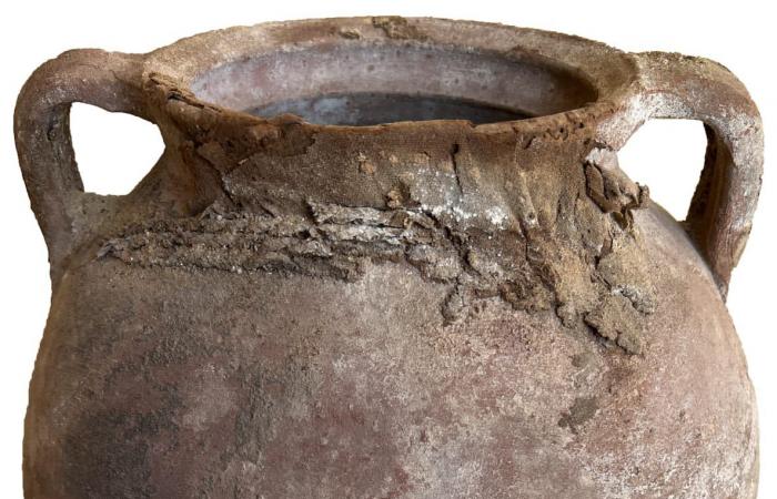 بينها ألسنة ذهبية وعددا من المومياوات.. اكتشاف مقبرة رومانية نادرة في مصر