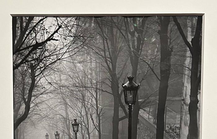 براساي
      مصور
      ليل
      باريس
      وعلاماتها
      السرية