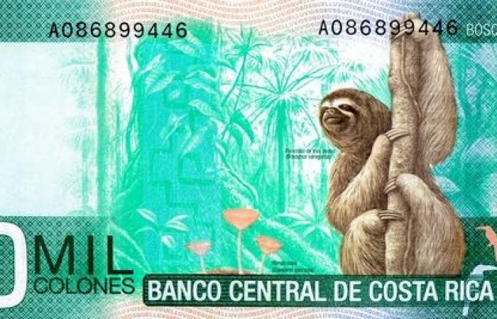 تصنيف
      2026
      يكشف
      أجمل
      عملات
      العالم..
      فأين
      جاءت
      العملة
      الكندية؟