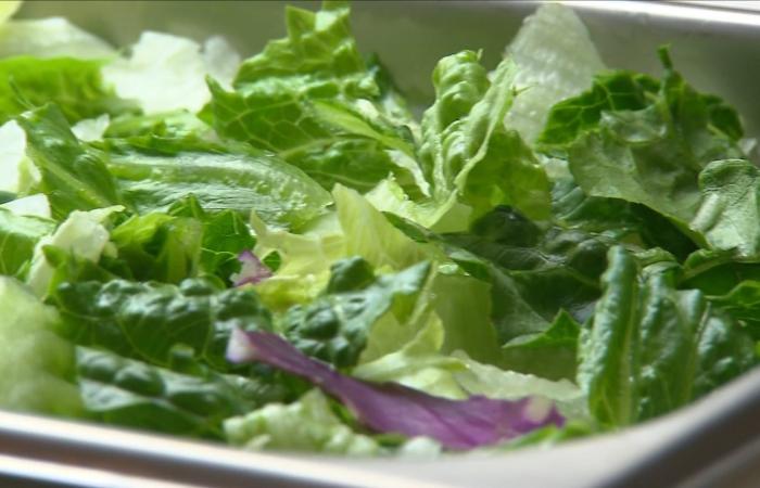 الألياف "العنصر الغذائي الأبرز لهذا العام".. ما فوائدها؟