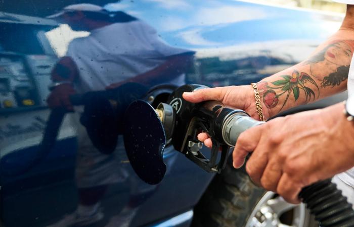 العثور
      على
      جثث
      50
      طفلاً
      و6
      بالغين
      ملقاة
      بمقبرة
      في
      ترينيداد
      وتوباغو